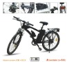 electric mountain bike