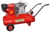 gasoline engine