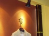 hid xenon track lamp,ceiling spotlight,track spot lighting,commercial light,indoor lamp