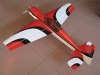 plane model YAK54EP-49in