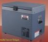 portable fridge