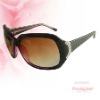 promotion sunglasses(plastic sunglass,top grade sunglasses)