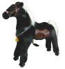 riding horse