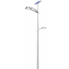 solar street lamps(RTH-L006)