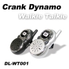 wireless telephone