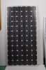 150W Solar module