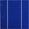 156x156mm Solar PV Cell(Polysilicon)