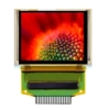 1.69" OLED Display
