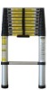 2.9M 10-step Telescopic/folding aluminum ladder