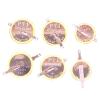 3.6V Rechargeable Lithium Button Cells