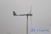 500w wind turbine generator ( CE approved)