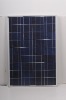 60W Photovoltaic Panel