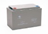 6GFM80 Battery