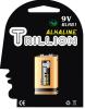 6LR61 Alkaline Battery (9V)