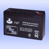 6V 10Ah VRLA Battery