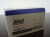 6-DZM-10 Battery For E-bike(GEL Model)