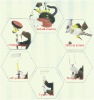 6 Functional Tool