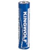AAA (AM-4) alkaline battery