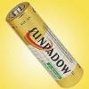 AA SIZE Alkaline Battery