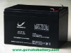 AGM Battery (12V10AH)