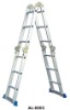 AL-6603 MULTI-FUNCTION LADDER