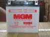 ATV battery