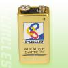 Alkaline Battery