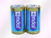 Alkaline C Size Battery