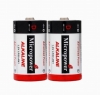 Alkaline D/LR20/AM1 Batteries