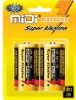Alkaline battery(LR20/SIZE D/AM-1 battery)