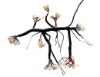Auto Wiring Harness