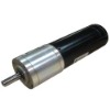BLDC GEAR MOTOR