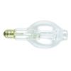 Blended Mercury Lamp with Halogen