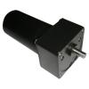 Brushless DC Gear Motor