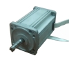 Brushless dc motor