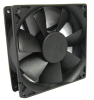 CPU fan