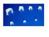 Cable Clip