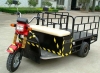 Cargo Tricycle - (Cargo Cart/Electric Tricycle)