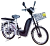 Carrying Capacity King Electric Bike