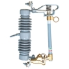 Cut out Fuse, Cutout Switch