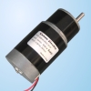 DC Gear Motor (MB040JS101-SI019)