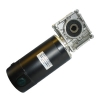 DC WORM GEAR Motor