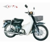 DYK90  cub