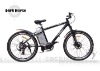 Dark Horse* electric bike