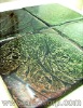 Decorative Tiles, Paint Tiles, Exotic Tiles