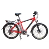 Dream e-Bike