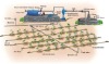 Drip Irrigation Systems