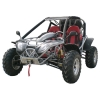 Dune buggy 500cc water-cooled CVT (DF500GK)