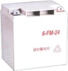 EV BATTERY