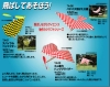 Educational Toys, Novelty Gifts,Hobby Models